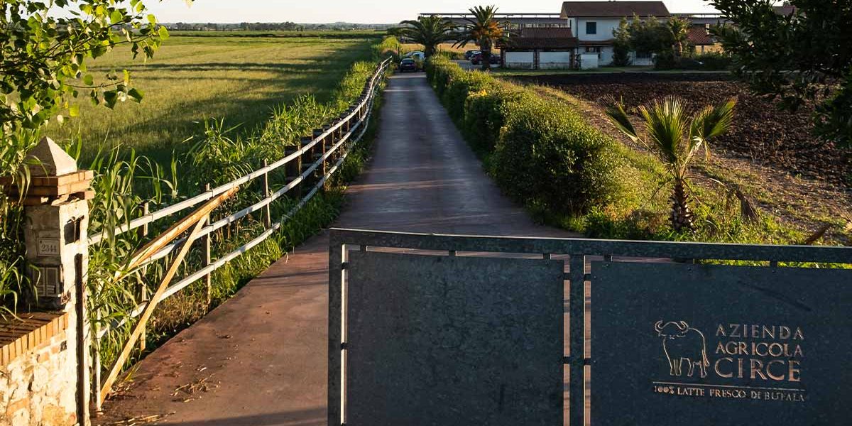 AGRICOLACIRCE-articolo-29-08-2023