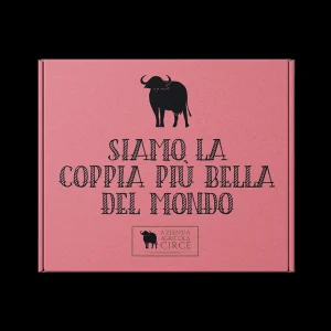 Siamo la Coppia Più Bella del Mondo