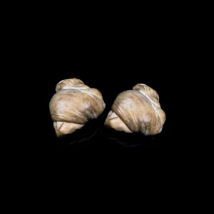Nodini di Latte di Bufala Affumicati