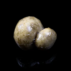 Scamorza di latte di bufala Affumicata 450 g