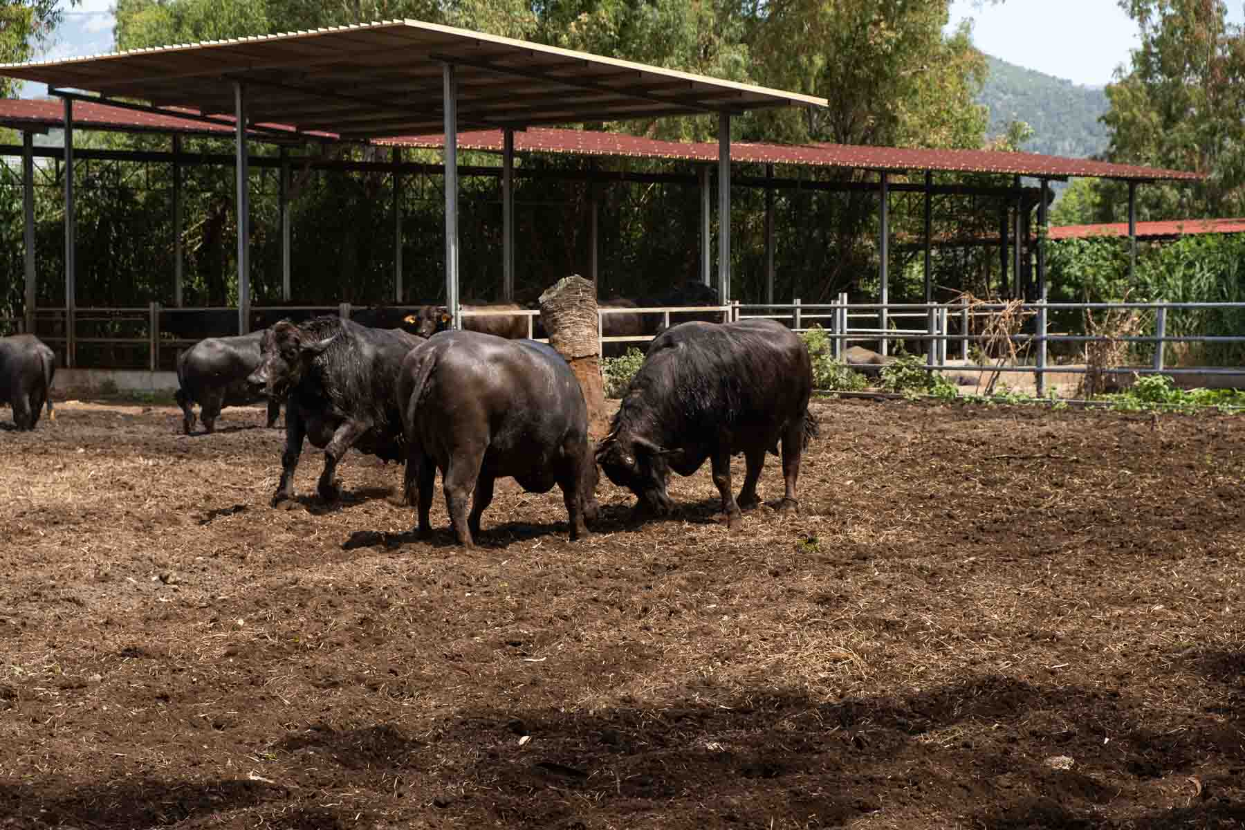 AGRICOLACIRCE-experience-2023