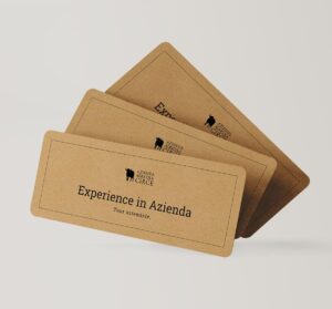 Experience in Azienda